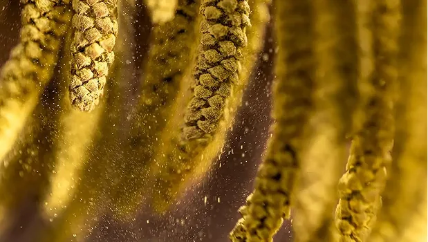 Панель алергенів