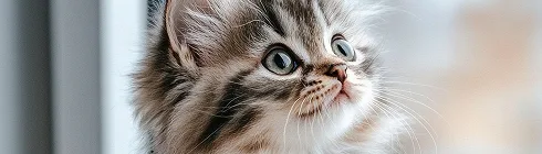 Домашні тварини